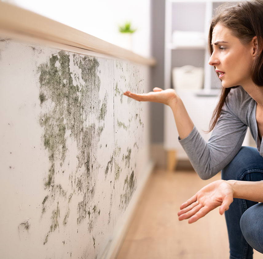 mold-inspection-services-faq