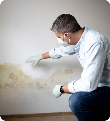 mold-inspection